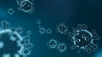 Coronavirus: Facts and Precautions