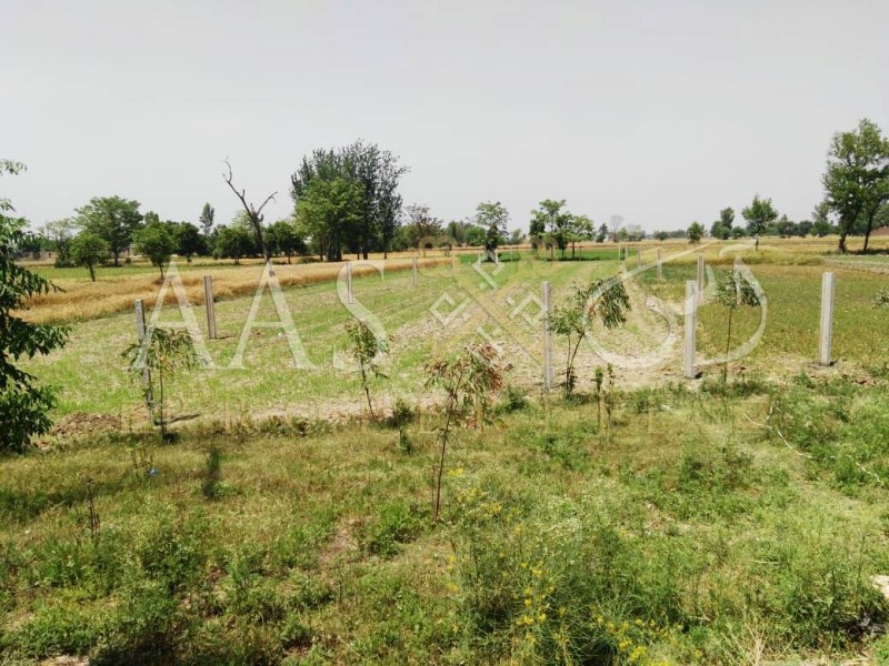 Plot/Land Property For Sale in Lahore - SabzProperty