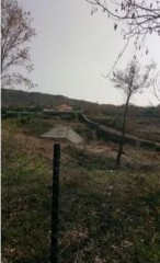  Plot/Land