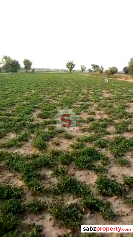 Agricultural Land Property For Sale in Chakwal