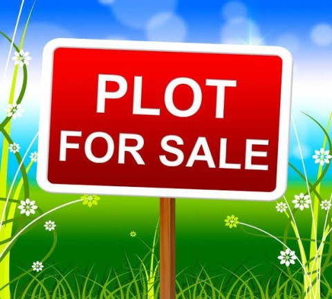  Plot/Land