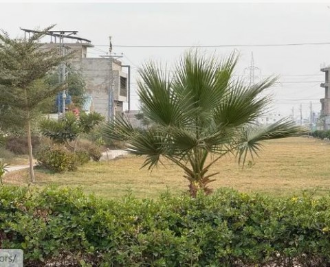  Plot/Land